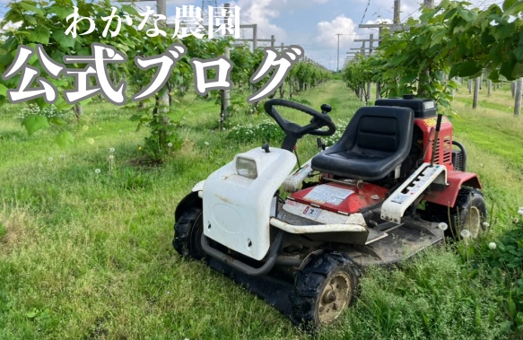 わかな農園の最新情報やぶどうの栽培の様子をお届けします。