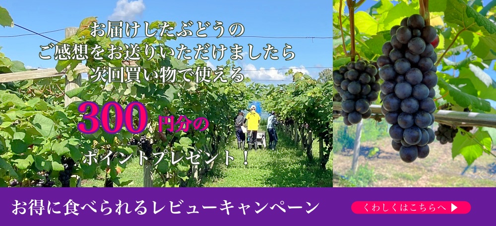 商品への感想を投稿しませんか？
