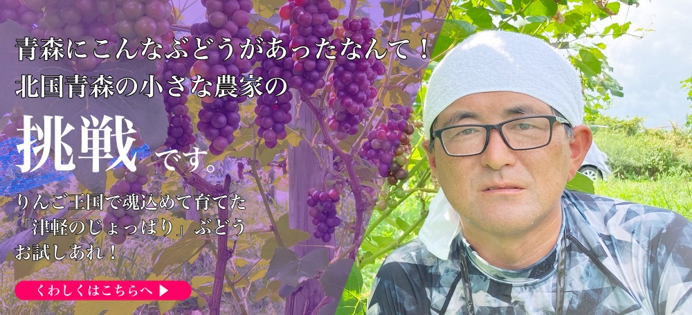 新規就農して頑張ってます