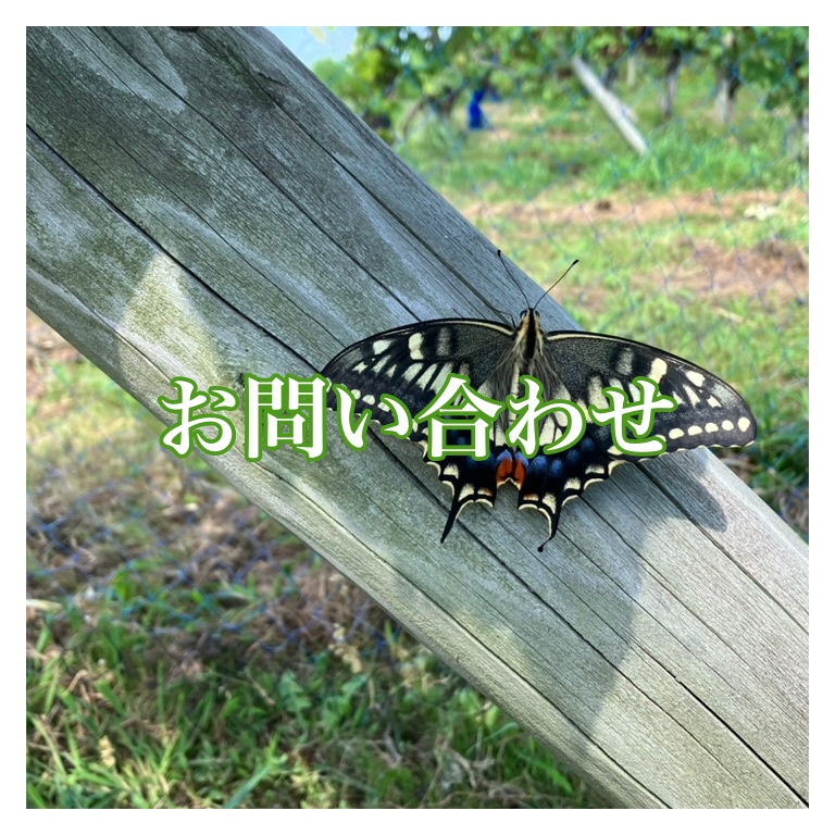 お問合せ