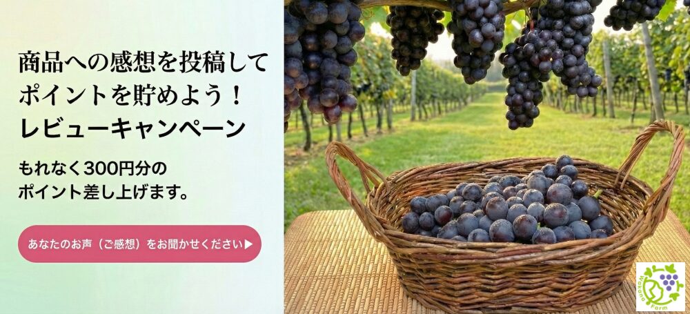 商品への感想を投稿しませんか？