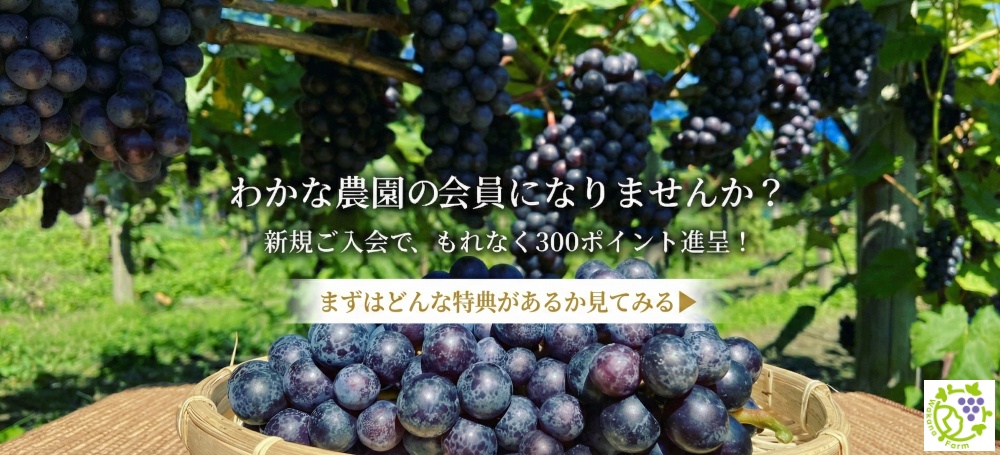 わかな農園の新年初売り