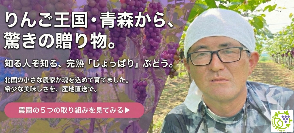 新規就農して頑張ってます