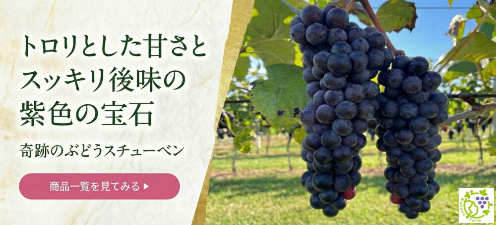 最高糖度２２度越えの甘いスチューベン